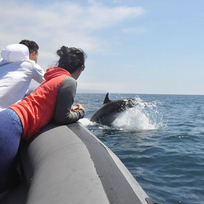 positively.erica picture