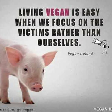 StephenJHarris picture