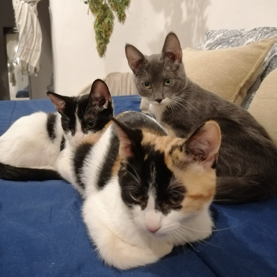 charleybones32 picture