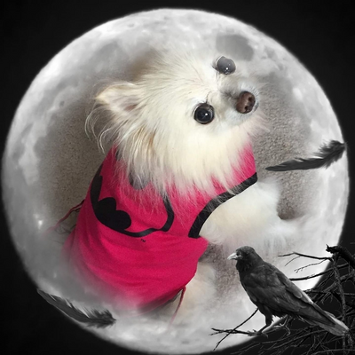 ErinMcFadden picture