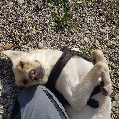 RaymondKaufmann picture