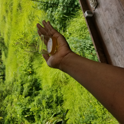 ElizaPrzeluski picture