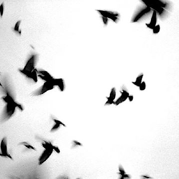 RitaOliveira74 picture