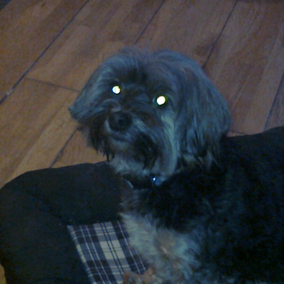 KnocknacarraStudyCen picture