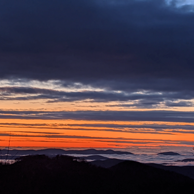 anne.elixhauser picture