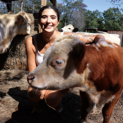 csalvatore9236 picture