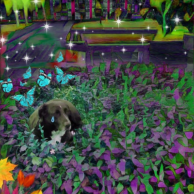 EvgeniaNiaevge picture