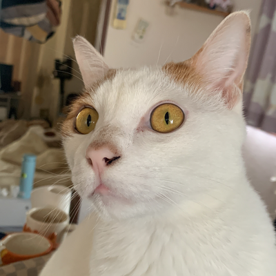 VeganLife4ever picture