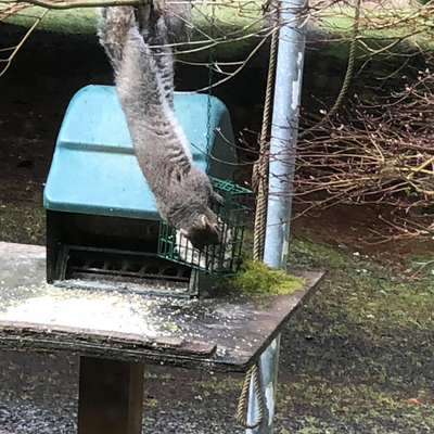 JanelleNuesse picture