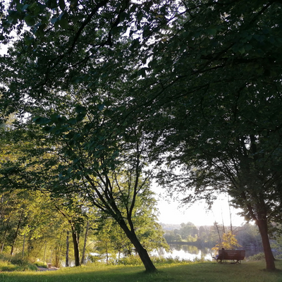 Amelia_Earhart picture