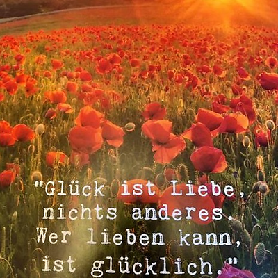 Meins picture