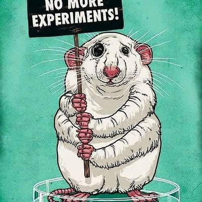 LenkaKunaPeterková picture