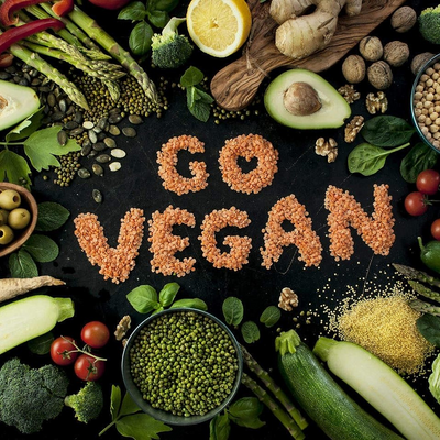 VeganovicEckan picture