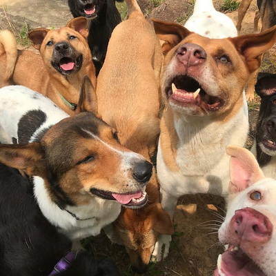 SheilaMcClelland picture