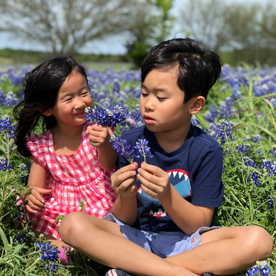Flowerandcream picture