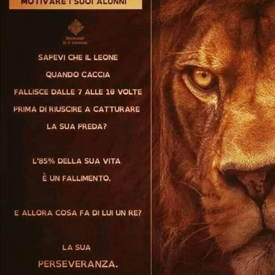 RiccardoRizzi picture