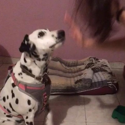 MennyDávila picture