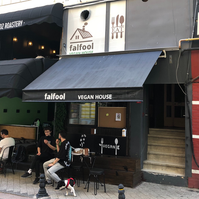 Falfoolistanbul picture