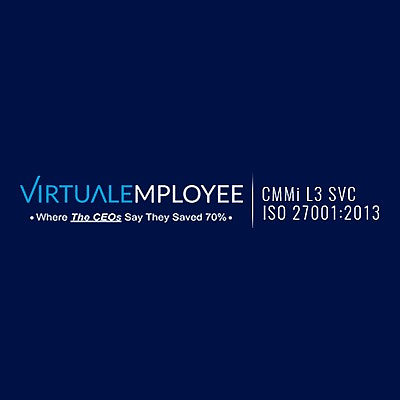 virtualemployee picture