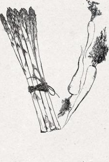 vegetariamoci picture