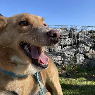 soffgarcia.a picture