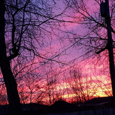 AnolaGrieshaber picture