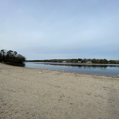 SamanthaDanyaElizabe picture