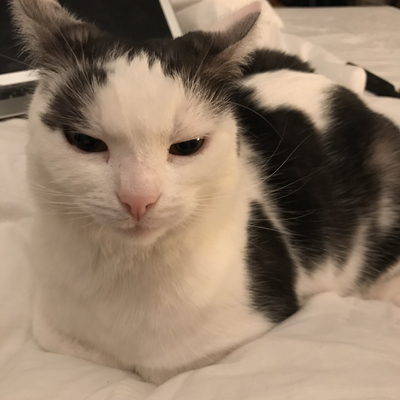 BarbaraPongrácz picture