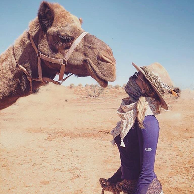 Fuchsia.sims picture