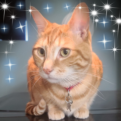 PattiDaultonBean picture