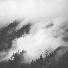 JonathanLong picture