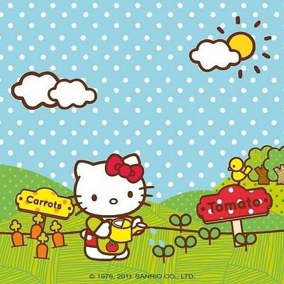 hellokittylady picture