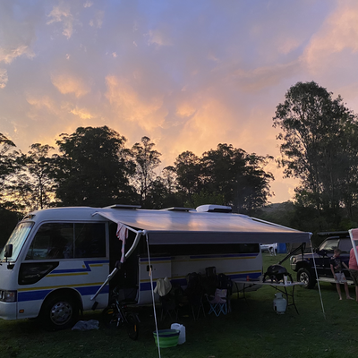 WanderingDaisyBus picture