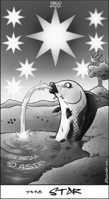 QuerusAbuttu picture