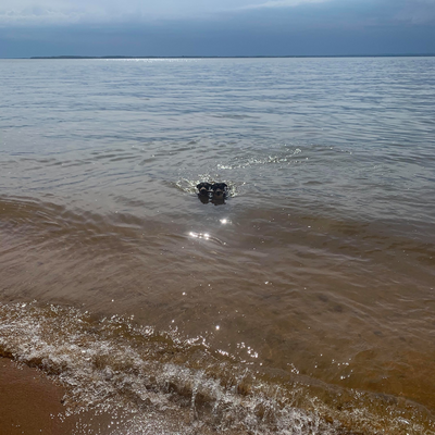 JanellaWherry picture