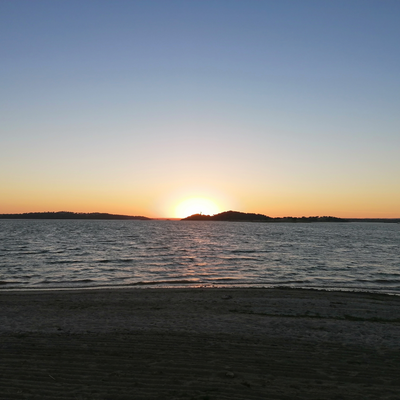 ricardojfdias picture