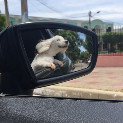 MaríaDelPilarMolina picture