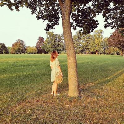 flowersinmywindow picture