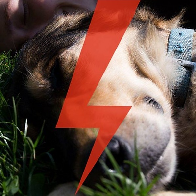 AsiaDyszlewska picture