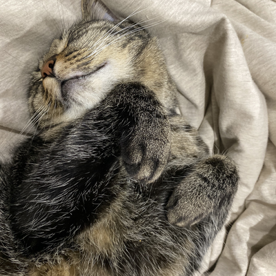 blackbeans42069 picture