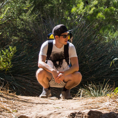 freduardtheturtle picture