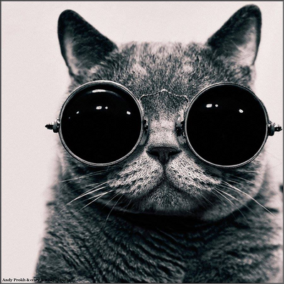 MaiderIsturiz picture