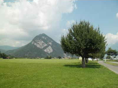 hungryherbivores picture