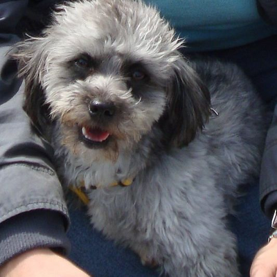 CaterinaPrincepPere picture