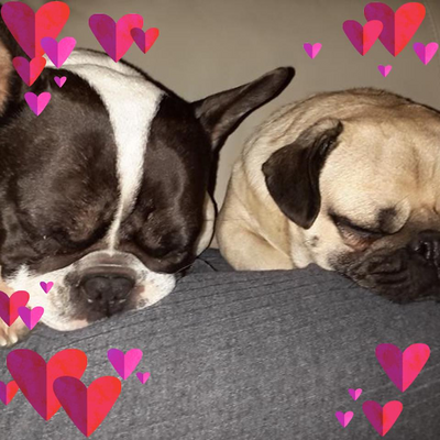 JanineWollgramm picture