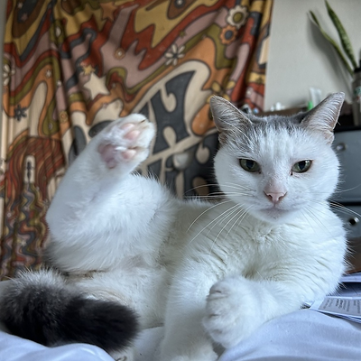 summersolstice picture