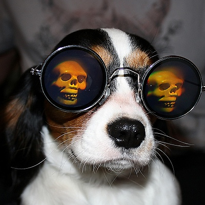 hilarityensues picture