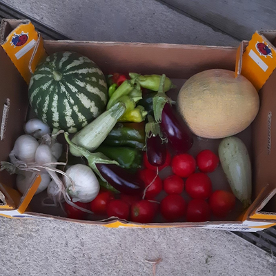 Vegafranca picture