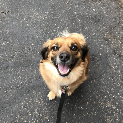 JTplusBennyMakes3 picture