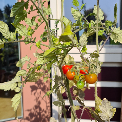 RubenVanDenOever picture